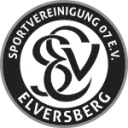 SV 07 Elversberg emblem